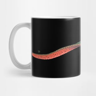 LEECH!!! Mug